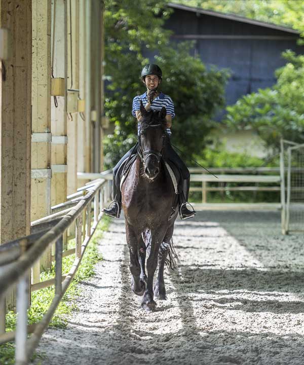 Cavaliere Bord Sol