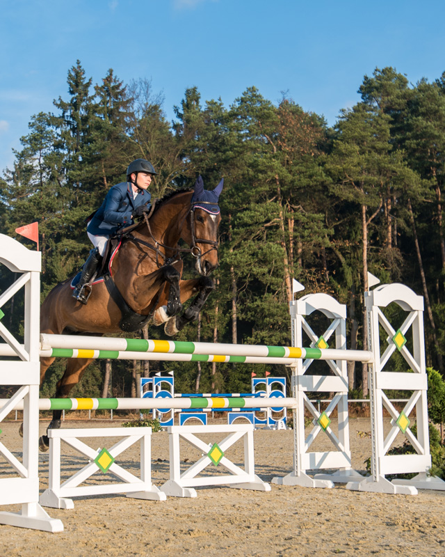 Saut d'obstacle sur sol compact Bord Sol