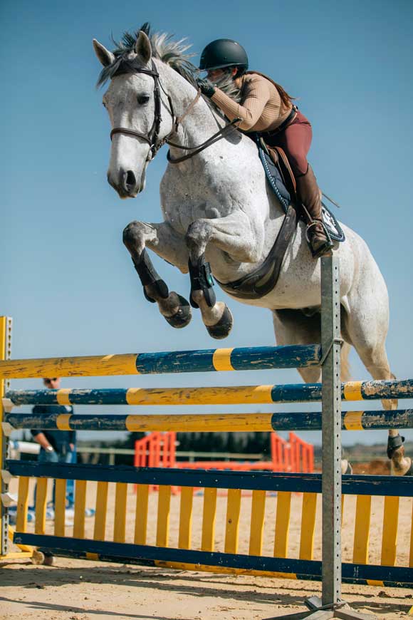 Entrainement de saut d'obstacles sur sol Bord Sol